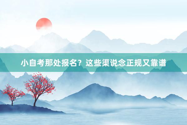 小自考那处报名？这些渠说念正规又靠谱